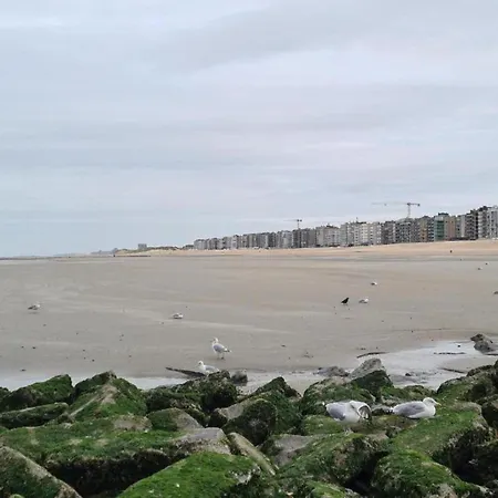 Lägenhet Les Mouettes 501 Located Directly On The Koksijde